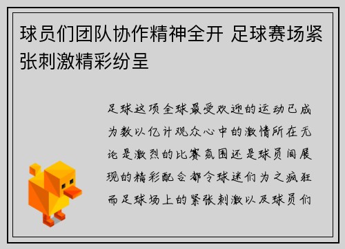 球员们团队协作精神全开 足球赛场紧张刺激精彩纷呈