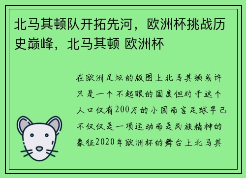北马其顿队开拓先河，欧洲杯挑战历史巅峰，北马其顿 欧洲杯
