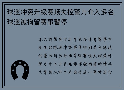 球迷冲突升级赛场失控警方介入多名球迷被拘留赛事暂停